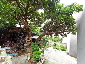 Bán đất hai mặt tiền trước sau, dương quang, gia lâm. cách 1 nhà ra ô tô.