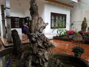 Bán đất kim ngưu 24 tỷ 193m2 trước mặt 9 88m sổ hồng sẵn tại hai bà trưng