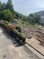 Bán đất mặt tiền 5x19,5m giá 5 tỷ đường đông thạnh 7-3