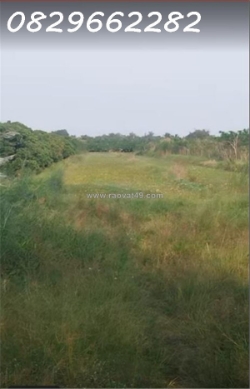 Bán đất nông nghiệp 4678m2 sổ hồng mt 5m đường tám sáng, tân bình, châu thành,