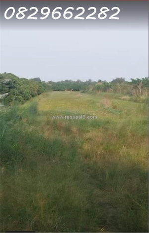 Bán đất nông nghiệp 4678m2 sổ hồng mt 5m đường tám sáng, tân bình, châu thành,