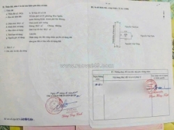 Bán đất thể nhân – hòa nghĩa – dương kinh ngang 7m hiếm – đường nhựa 9m – giá