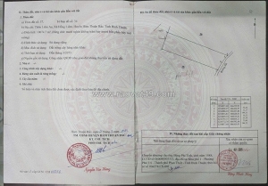 Bán đất trồng thanh long – giá tốt tại bình thuận