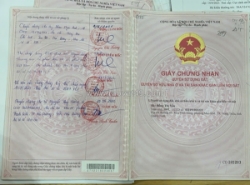 Bán gấp 2 lô đất thuộc khu đô thị kim sơn đông triều quảng ninh.