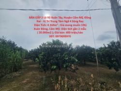 Bán gấp 2 lô xã xuân tây, huyện cẩm mỹ, đồng nai - vị trí trung tâm ngã 4 sông