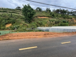 Bán gấp đất biệt thự mặt tiền đa phú – p7, đà lạt chỉ 8.5 tỷ