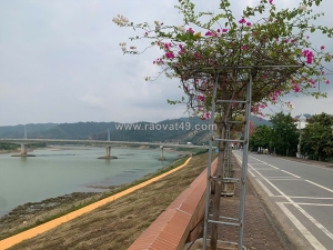 Bán nhà - vị trí siêu đẹp 3 mặt tiền đường nhựa lớn trung tâm sầm uất nhất tp.