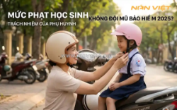 Báo động 2025: học sinh không đội mũ bảo hiểm - phụ huynh mất tiền, con bị hạ hạnh kiểm?