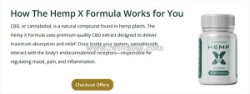 Benefits of hemp x cbd capsules for a healthier life news