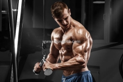 Best sarms for post cycle therapy (pct)