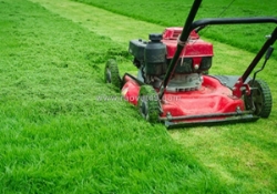 Các loại công trình cần cắt cỏ thường xuyên