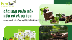 Các loại phân bón hữu cơ và lợi ích trong canh tác nông nghiệp bền vững