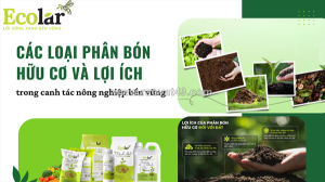 Các loại phân bón hữu cơ và lợi ích trong canh tác nông nghiệp bền vững