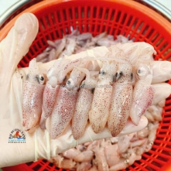 Cách chọn mực sữa tươi ngon cho người không rành hải sản