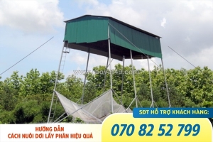 Cách thu hút dơi hiệu quả nhất với máy gọi dơi