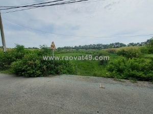 Cần bán 2000 m2 đất mặt tiền đường tập đoàn liên doanh ;đa phước; bình chánh.