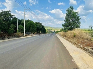 Cần bán đất mặt tiền đường nhựa - tân phước - đồng phú - bình phước chỉ 9 tỷ/ ha