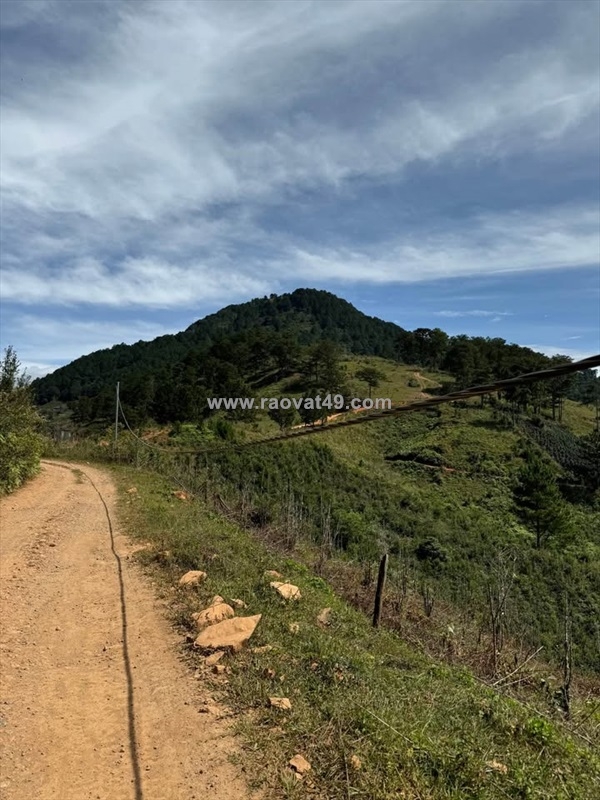 ~/Img/2025/12/can-ban-gap-lo-dat-rong-view-dep-tai-lac-duong-da-lat-9500m2-gia-9-ty-02.jpg