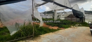 Cần bán gấp trong tuần lô đất biệt thự view thoáng tại p. lâm viên - đà lạt