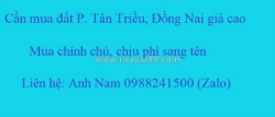 Cần mua đất kp. bình lục, p. tân triều giá cao, mua chính chủ, thiện chí mua