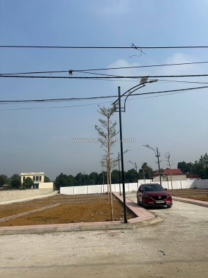 Cắt lỗ gấp: chính chủ cần bán gấp lô đường hàng cau đồng trạng giá ngã cây liên