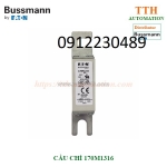 Cầu chì bussmann 170m1316  thuộc nhóm gr