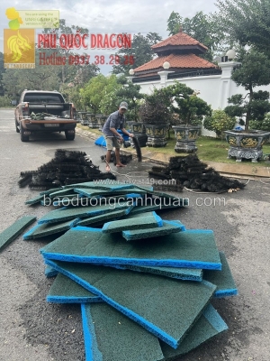 Cấu tạo của hệ lọc hồ cá koi chuẩn cấu trúc