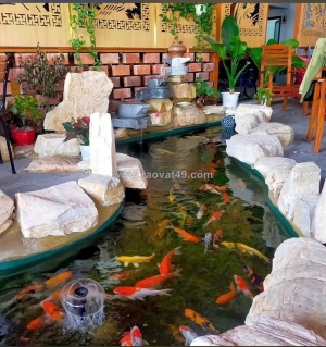 Ccg – xuân thới thượng, hóc môn - lô góc 2mt siêu đẹp – vị trí vàng kd đỉnh cao!