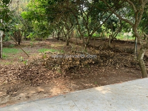 Chỉ 1.68 tỷ (bớt lộc) - bán vườn chôm chôm xã bàu hàm 2 - thống nhất - đồng nai