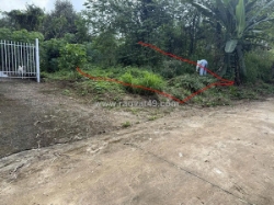 Chỉ 780 triệu sở hữu ngay đất bàu hàm , thống nhất – kênh giữ tiền dài hạn an