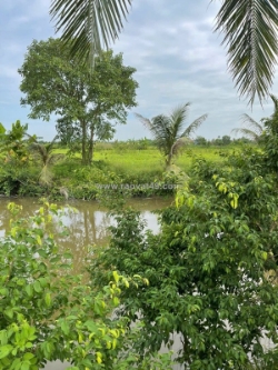 Chỉ còn 1 lô f0 quyết tiến – giá hiếm 13,x tr/m² – quỹ đất ven đồ sơn ngày càng