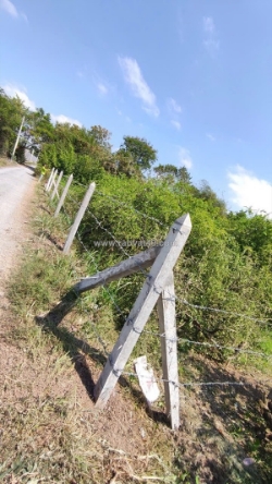 Chính chủ bán đất mặt tiền đường nguyễn thìn – xã bình ân, gò công đông