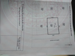 Chính chủ cần bán lô biệt thự đồi thủy sản 216m² mặt tiền 12m tại trung tâm bãi
