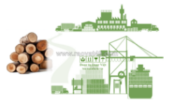 Chính sách & thủ tục nhập khẩu gỗ – doanh nghiệp cần biết