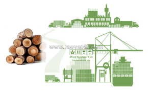 Chính sách & thủ tục nhập khẩu gỗ – doanh nghiệp cần biết