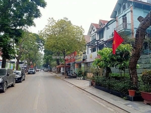 Cho thuê biệt thự mỹ đình 2 lô góc siêu đẹp 200m2 4 tầng giá 50 tr