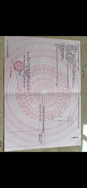 Chủ cần bán đất mặt tiền đường 27/4 nối dài, xã hồ tràm, tphcm
👉 dt 21*52 (