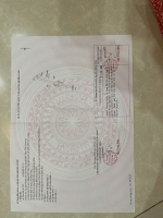 Cơ hội đầu tư đất diện tích lớn – giá tốt tại đức hòa, long an