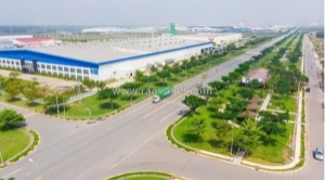 Công ty tnhh vision automation vina tuyển dụng