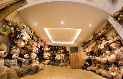 Cửa hàng gấu bông tại bmt – địa chỉ mua quà tặng đáng yêu dành cho mọi độ tuổi