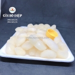 Cung cấp cồi sò điệp đông lạnh – lựa chọn an toàn và tiện lợi