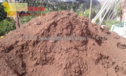 Cung cấp đất màu giá tốt, chất lượng, giao hàng cấp tốc