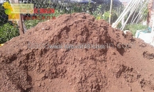 Cung cấp đất màu giá tốt, chất lượng, giao hàng cấp tốc