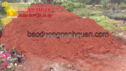 Cung cấp đất màu sạch, hỗ trợ cây trồng phát triển hơn