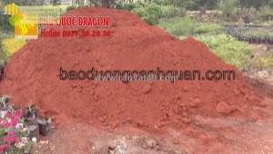 Cung cấp đất màu sạch, hỗ trợ cây trồng phát triển hơn