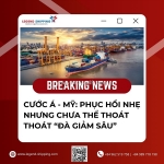 Cước á - mỹ: phục hồi nhẹ nhưng chưa thể thoát thoát “đà giảm sâu”