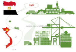 Cước vận chuyển hàng hóa từ ai cập về việt nam