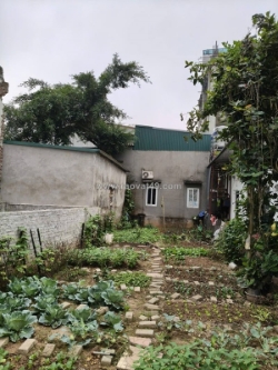 Đất bắc hồng, 99m2, mt5m, 2 ô tô tránh, bìa làng, 10 tỷ. đông anh.