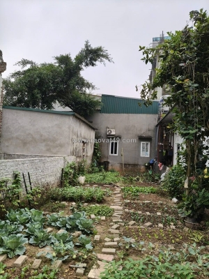 Đất bắc hồng, 99m2, mt5m, 2 ô tô tránh, bìa làng, 10 tỷ. đông anh.