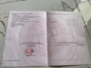 Đất chính chủ - giá tốt thôn lai ổn, xã an quý, huyện quỳnh phụ, tỉnh thái bình